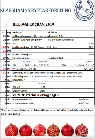 Jullovsprogram