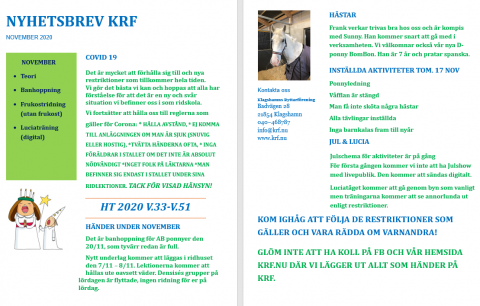 Nyhetsbrev nov 2020