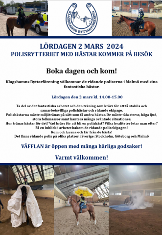 Polisrytteriet